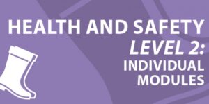 Workplace Health, Safety and Welfare (Health and Safety Level 2)