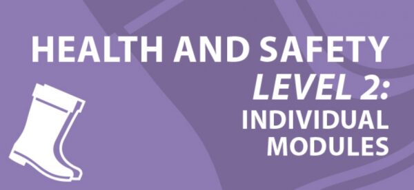 First aid (Health and Safety Level 2)