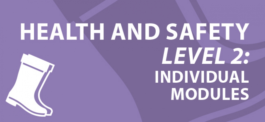 Accidents including Slips, Trips and Falls (Health & Safety Level 2)